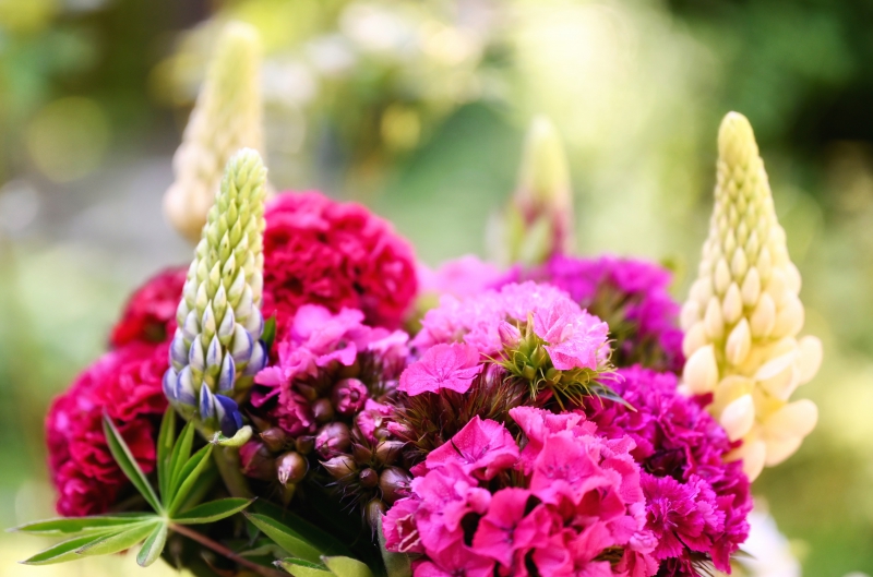 fleuriste-LE ROURET-min_flowers-5369794